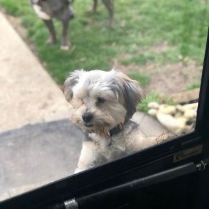 Meet your Posher, Aniyah